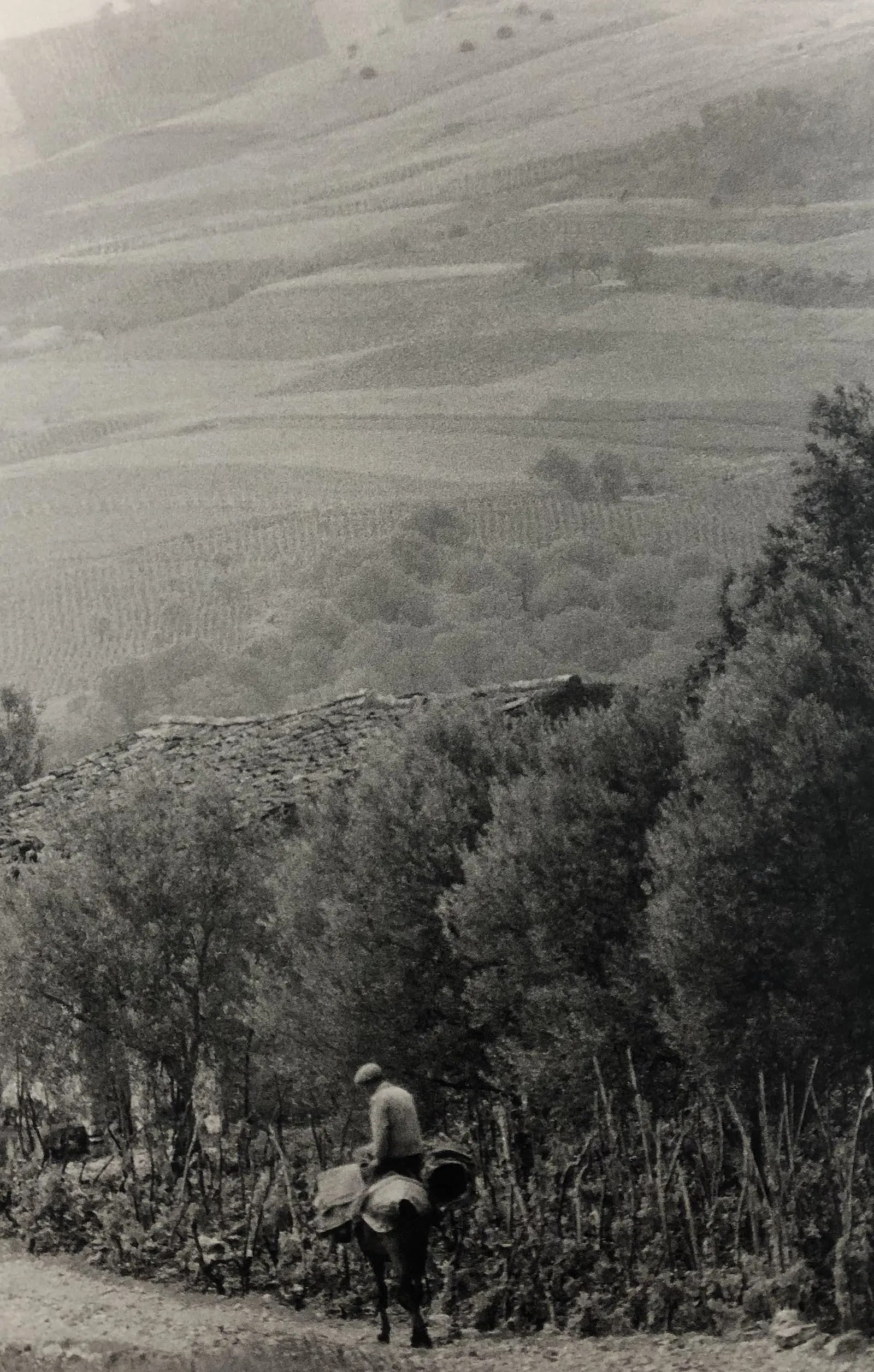 BRUCE DAVIDSON (B. 1933): Sicily, Printed in colors mounted on archival board 6 3/8" x 9 5/8"