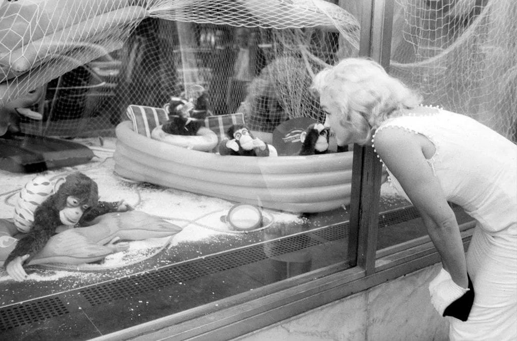 Sam Shaw Marilyn Monroe Photo (1 of 1)