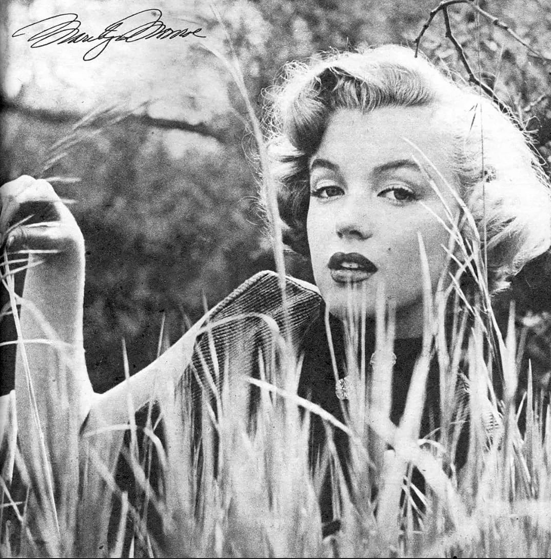 Don Ornitz Marilyn Monroe Photo: Measures 12 x 16 inches, photographic print , mounted to archival board