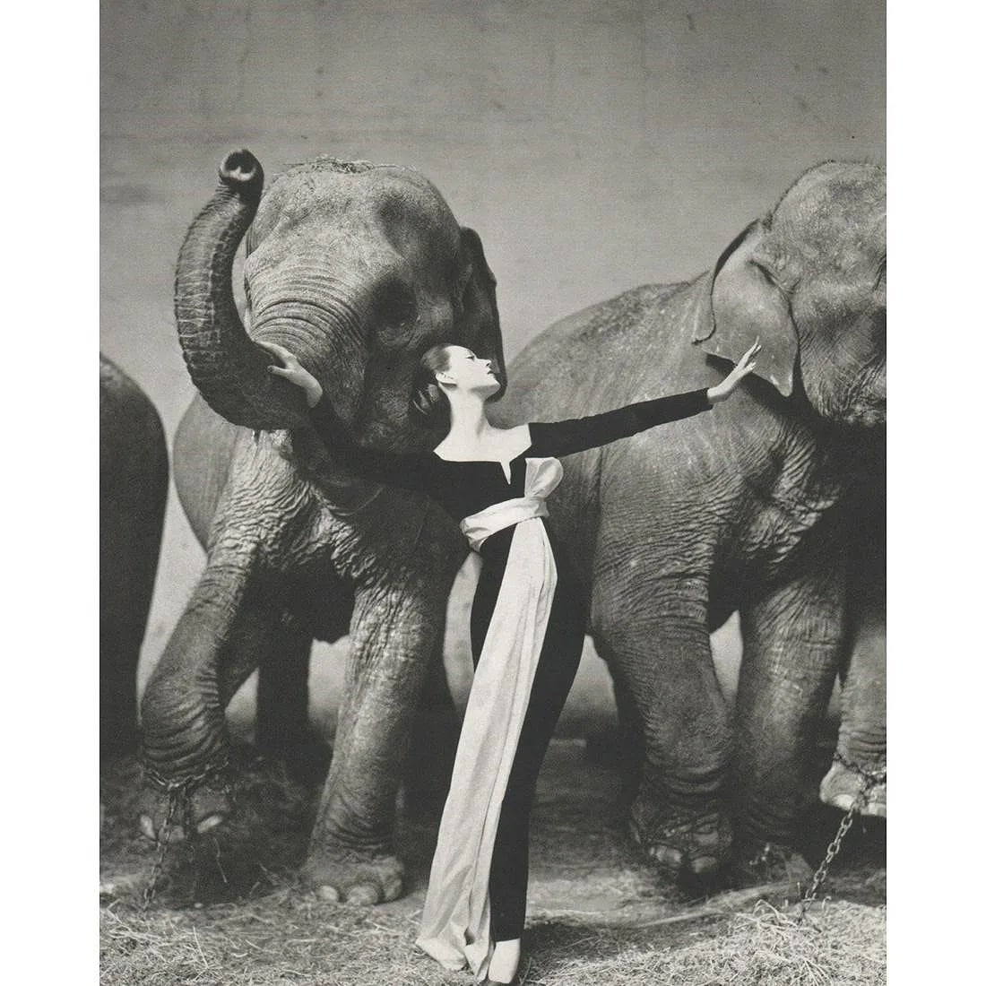 RICHARD AVEDON (AMERICAN) PRINT ON PAPER: Richard Avedon (American) Print on Paper. Dovima with Elephants, Paris, France (1955). Pritned in Switzerland in 1970s. Measures 8.00 x 10.00 inches.