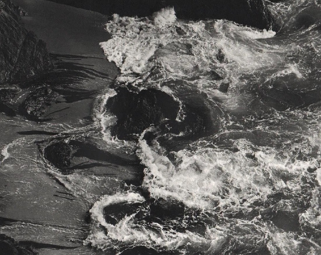 EDWARD WESTON (AMERICAN) PRINT ON PAPER (1 of 1)