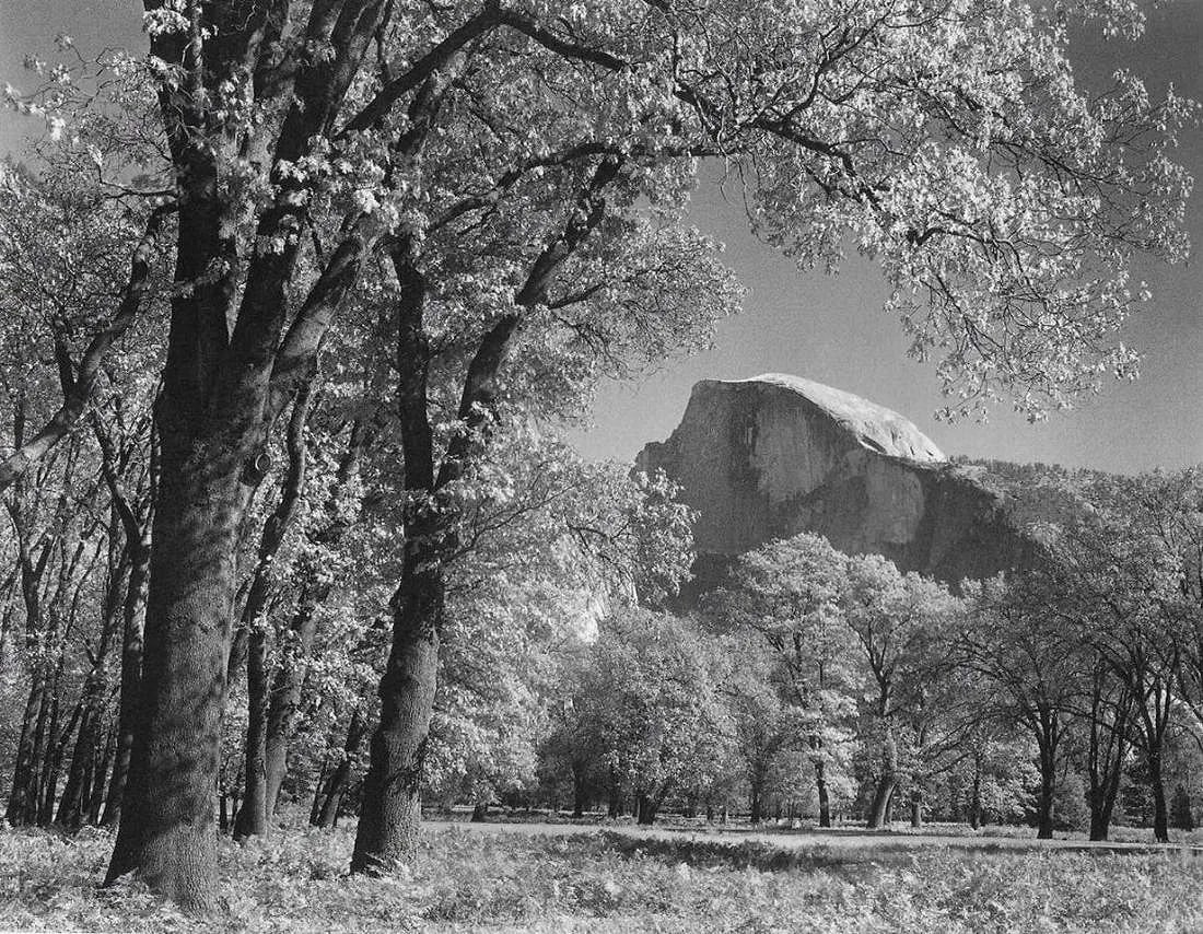 ANSEL ADAMS (AMERICAN) PRINT ON PAPER: Ansel Adams (American). Half Dome Oak Trees, Autumn in Yosemite (1938). Printed in Italy in 2007 and Published by Little, Brown and Company. Measures 7.00 x 5.00 inches. Semi-gloss finish.