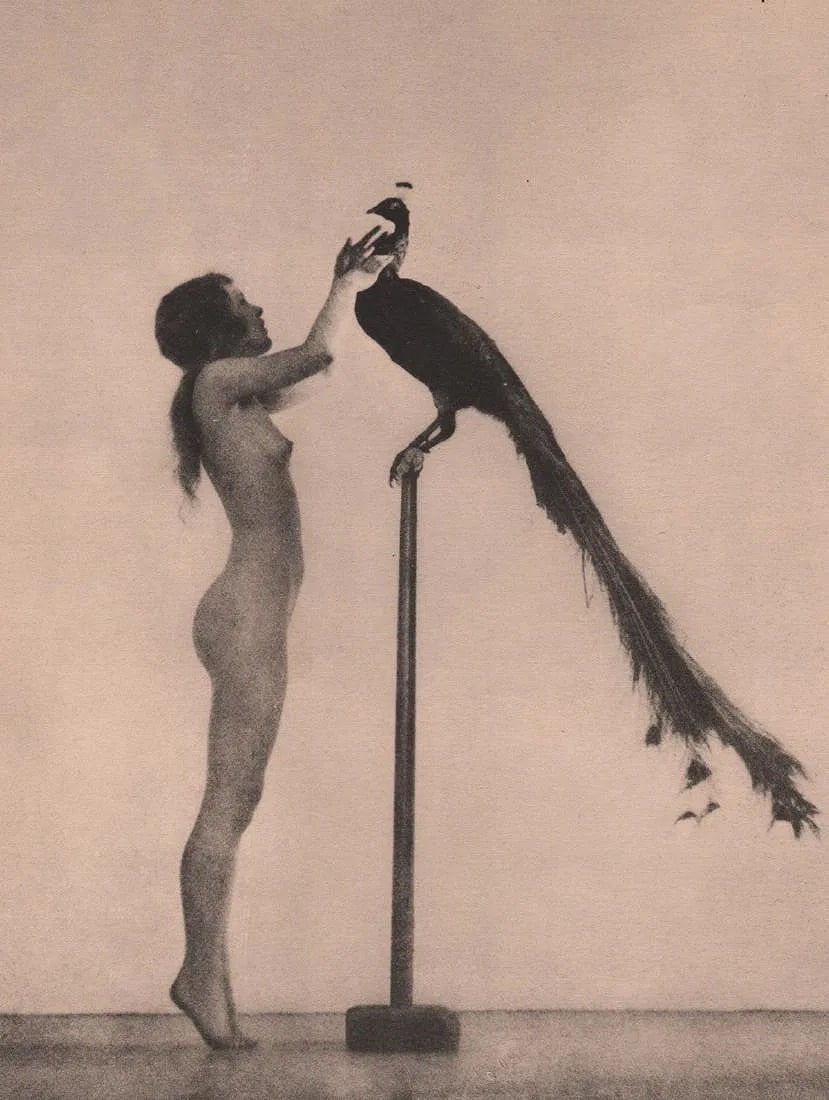 WILLIAM MORTENSEN (AMERICAN) PRINT ON PAPER: William Mortensen (American) Print on Paper. Vanities. Printed in USA in 1926. Measures 7.25 x 9.50 inches. Collotype.