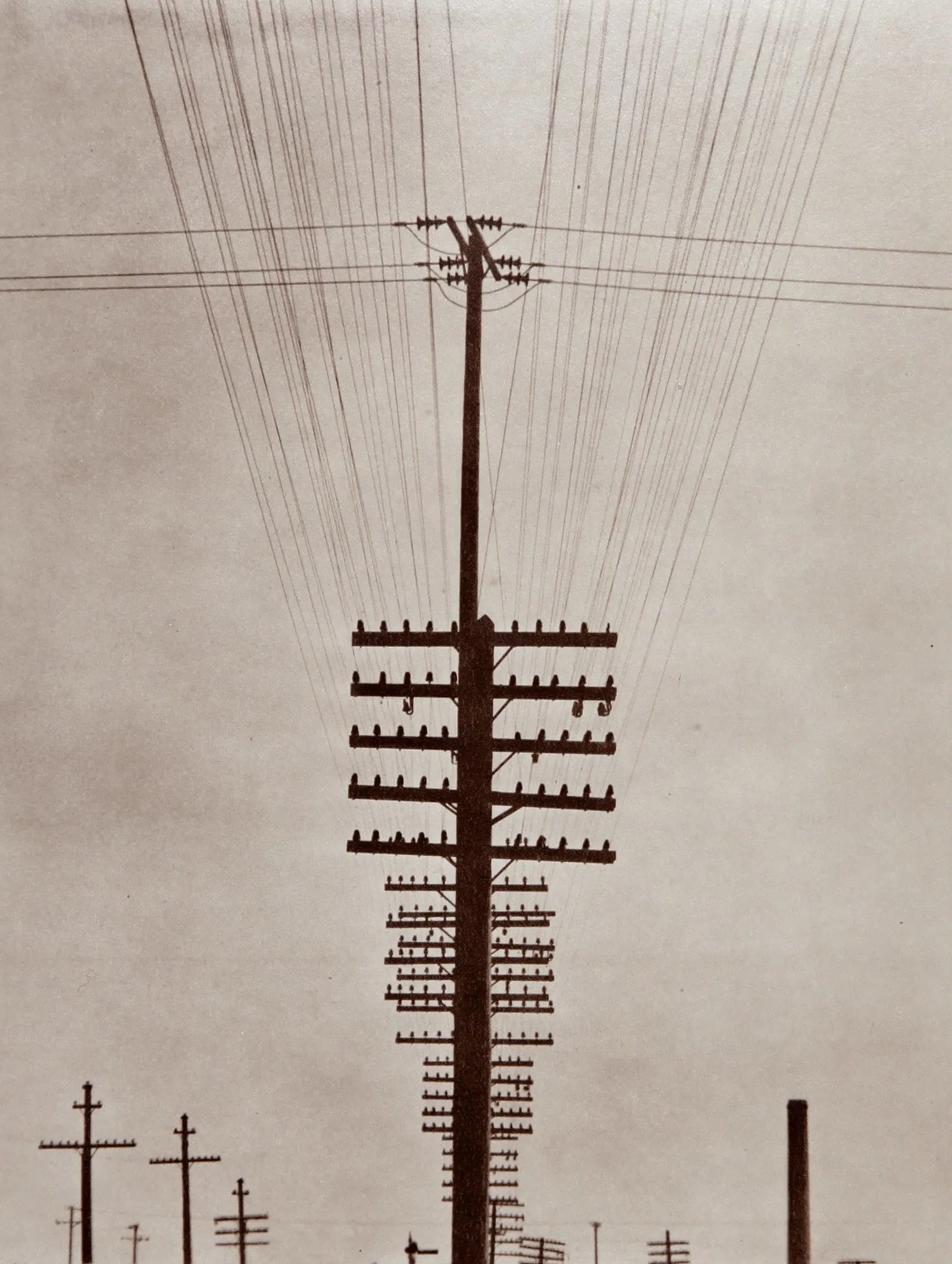 TINA MODOTTI (ITALIAN) PRINT ON PAPER: Tina Modotti (Italian) Print on Paper. Electric Wires. Printed in Italy in 1979. From a Limited Edition. Measures 15.70 x 11.80 inches.