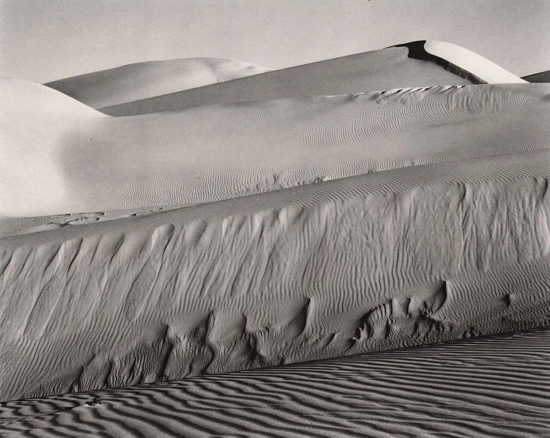 EDWARD WESTON (AMERICAN) PRINT ON PAPER (1 of 1)