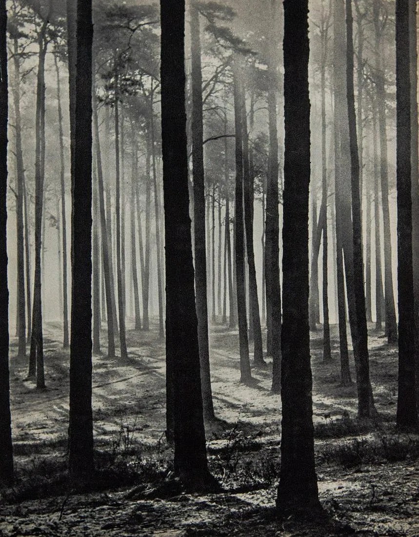 HEIN GORNY (GERMAN) PRINT ON PAPER (1 of 1)
