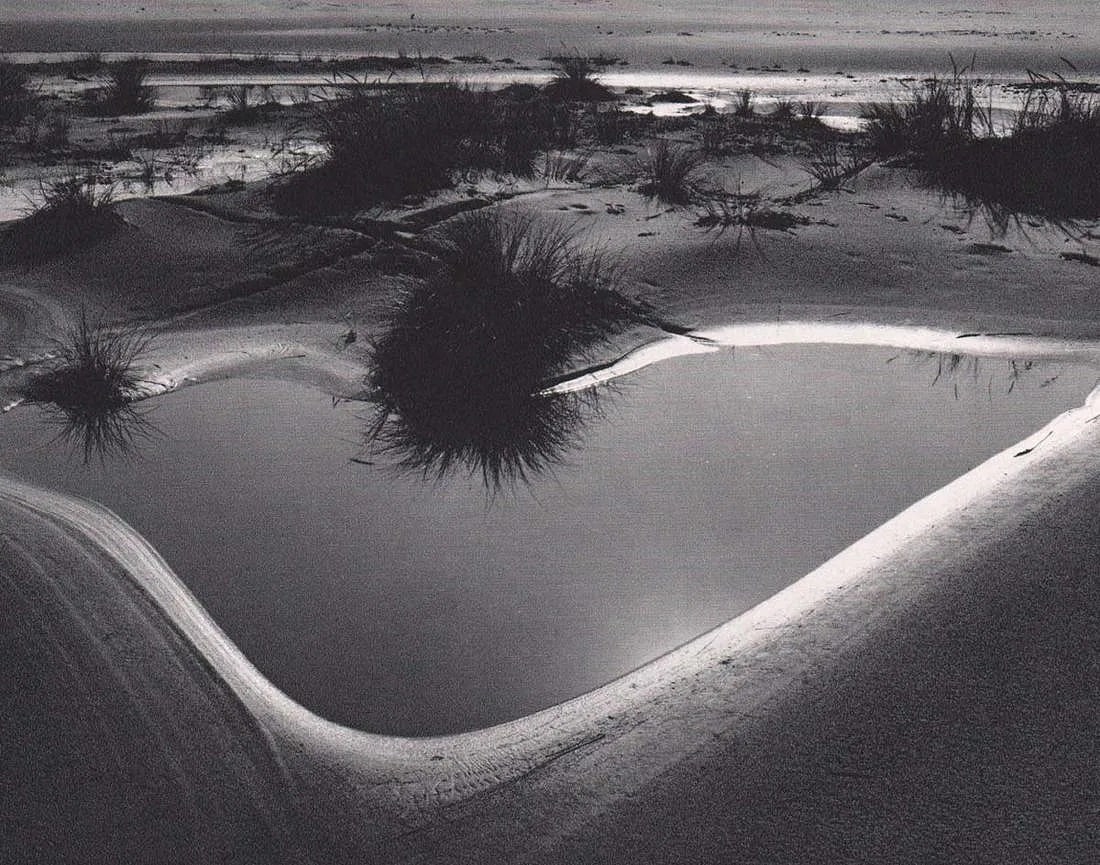 BRETT WESTON (AMERICAN) PRINT ON PAPER (1 of 1)