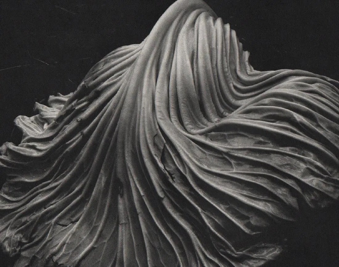 EDWARD WESTON (AMERICAN) PRINT ON PAPER (1 of 1)