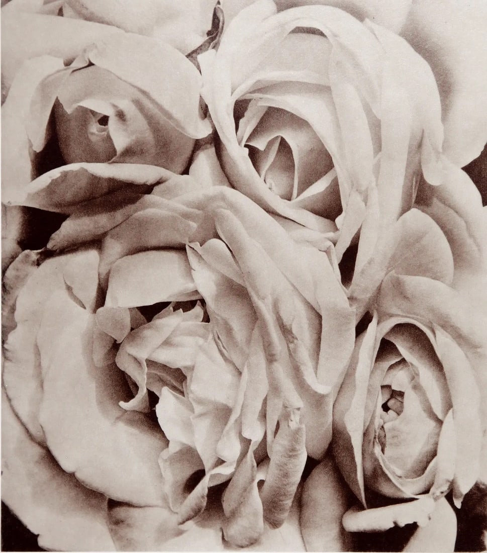 TINA MODOTTI (ITALIAN) PRINT ON PAPER (1 of 1)