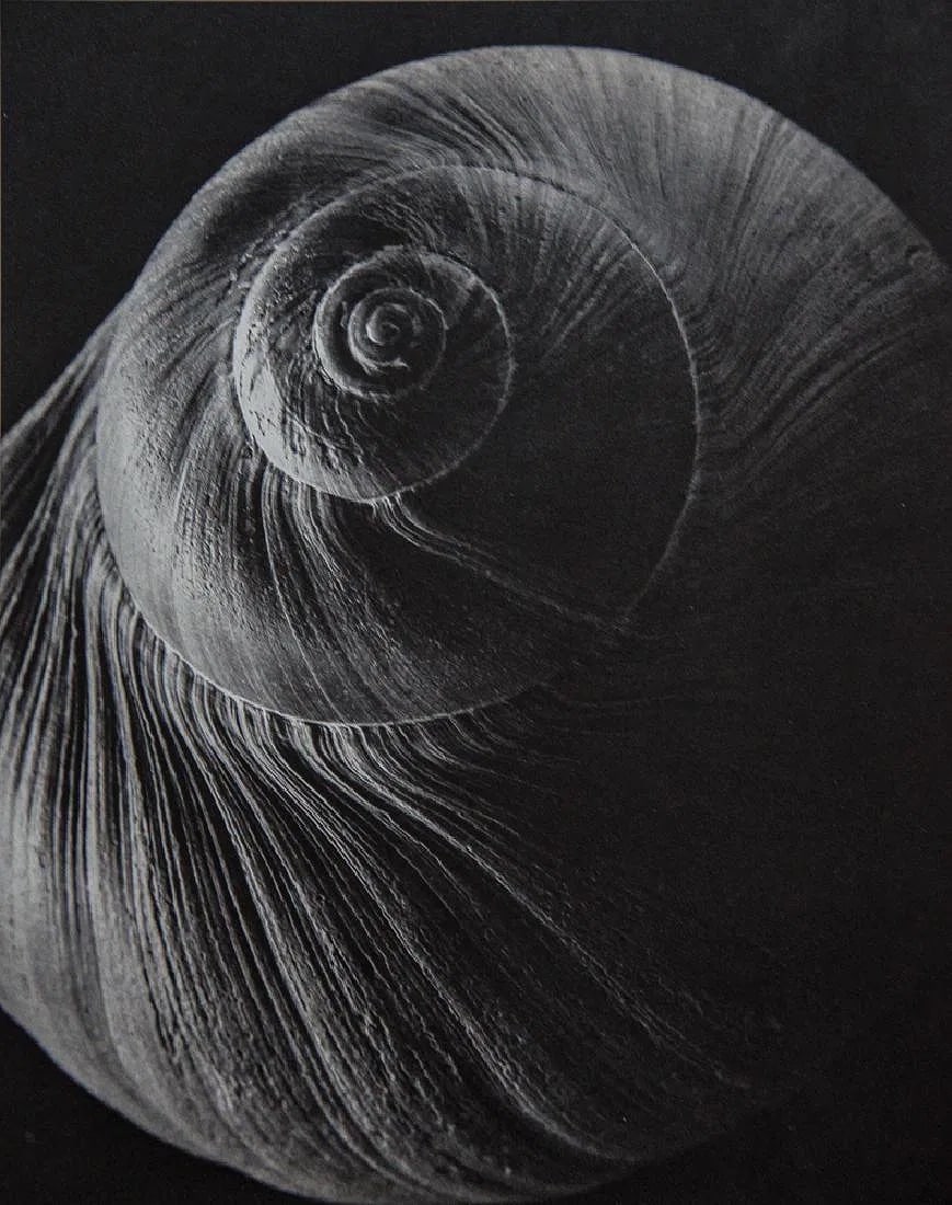 EDWARD STEICHEN (LUXEMBOURGISH-AMERICAN) PRINT ON PAPER (1 of 1)