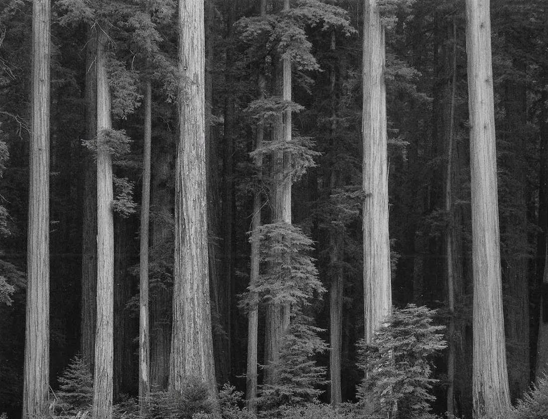 ANSEL ADAMS (AMERICAN) PRINT ON PAPER (1 of 1)