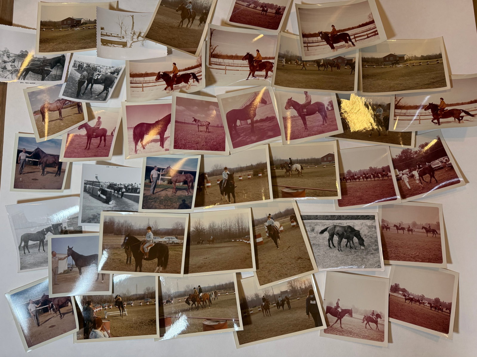 Vintage Horse Equestrian Photo Lot Color & Black White Riding Show Farm Scenes (1 of 7)