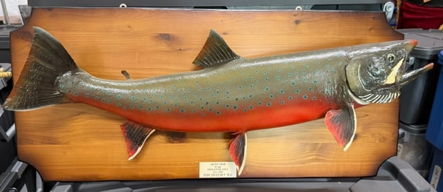 Vintage Arctic Char Fish Mount Sculpture Plaque Tree River N.W.T. Tom Sweeney M.D. 1987: Large vintage Arctic Char fish mount mounted on carved wood plaque, commemorating a 16 lb catch from Tree River, Northwest Territories, Canada in July 1987.Metal plaque reads:“ARCTIC CHAR16 LBS.TREE