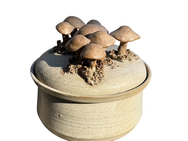RARE Gary Eagan Studio Pottery Mushroom Lidded Box, Spring Street Pottery (1 of 4)