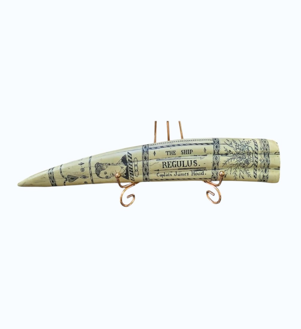 Scrimshaw Art in Resin "THE SHIP REGULUS CAPTAIN JAMES HOUD": Scrimshaw Art in Resin "THE SHIP REGULUS CAPTAIN JAMES HOUD". Measure 13 1/4" X 2 1/4" X 1.5". Items remaining in our possession after this time will be subject to forfeit or storage charges.