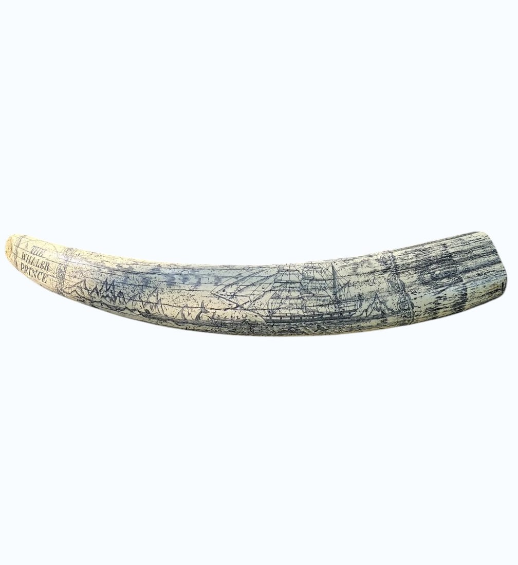 Scrimshaw Art in Resin "THE WHALER PRINCE, 1ST MATE T. BOWERS": Scrimshaw Art in Resin "THE WHALER PRINCE, 1ST MATE T. BOWERS", TAKEN FROM DEAD WALRUS OCT, 1841. Measure 21" X 2 3/4" X 2". Items remaining in our possession after this time will be subject to