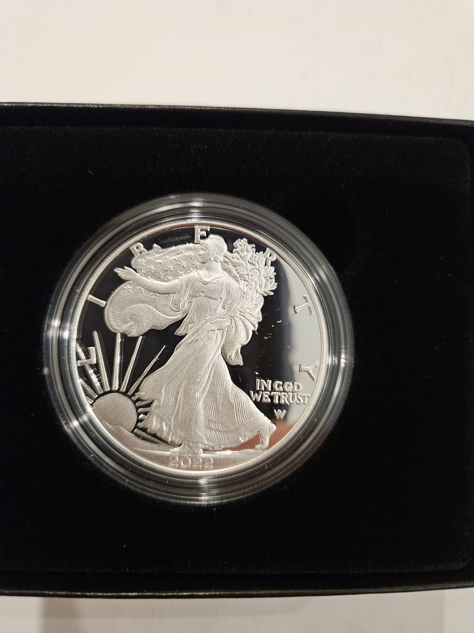 2022 W AMERICAN EAGLE PROOF - 6