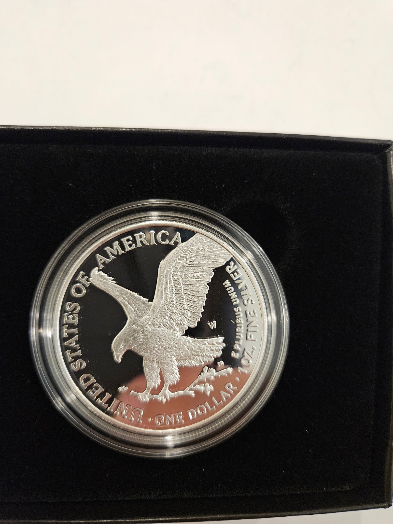2022 W AMERICAN EAGLE PROOF - 7