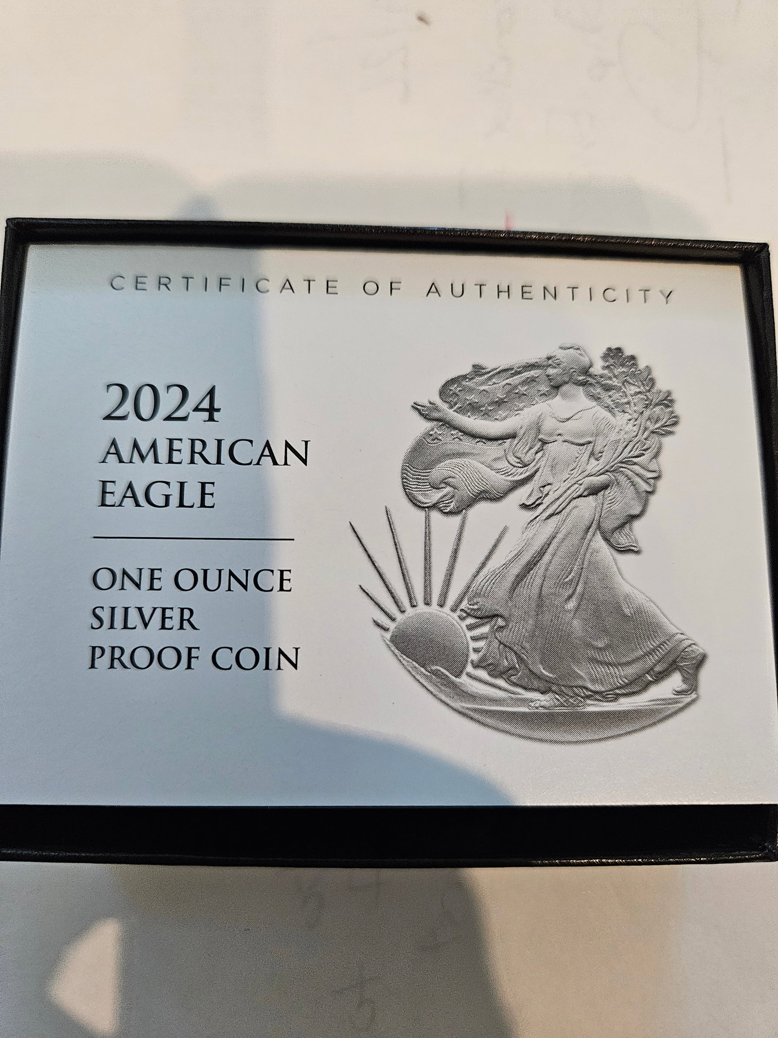 2024 W AMERICAN EAGLE PROOF - 3