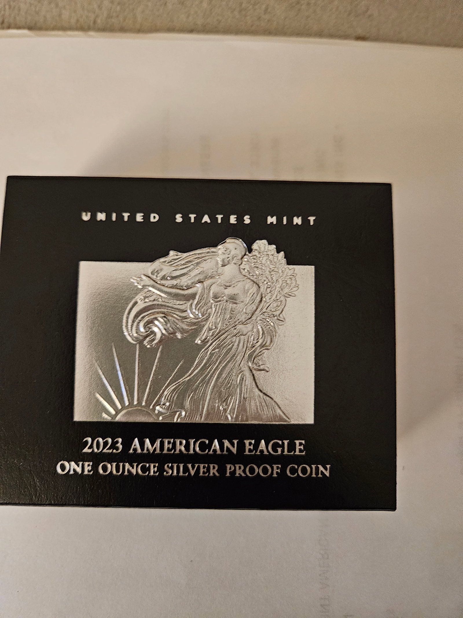 2023 S AMERICAN EAGLE PROOF 95/110 (1 of 5)