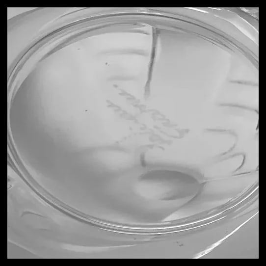 Ring Tray - 4