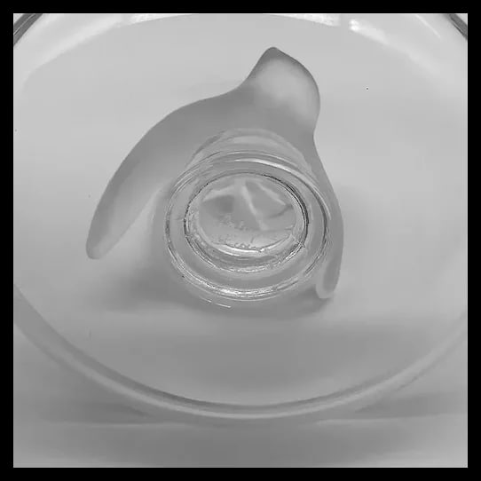Ring Tray - 4