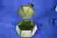 item-71099797=4