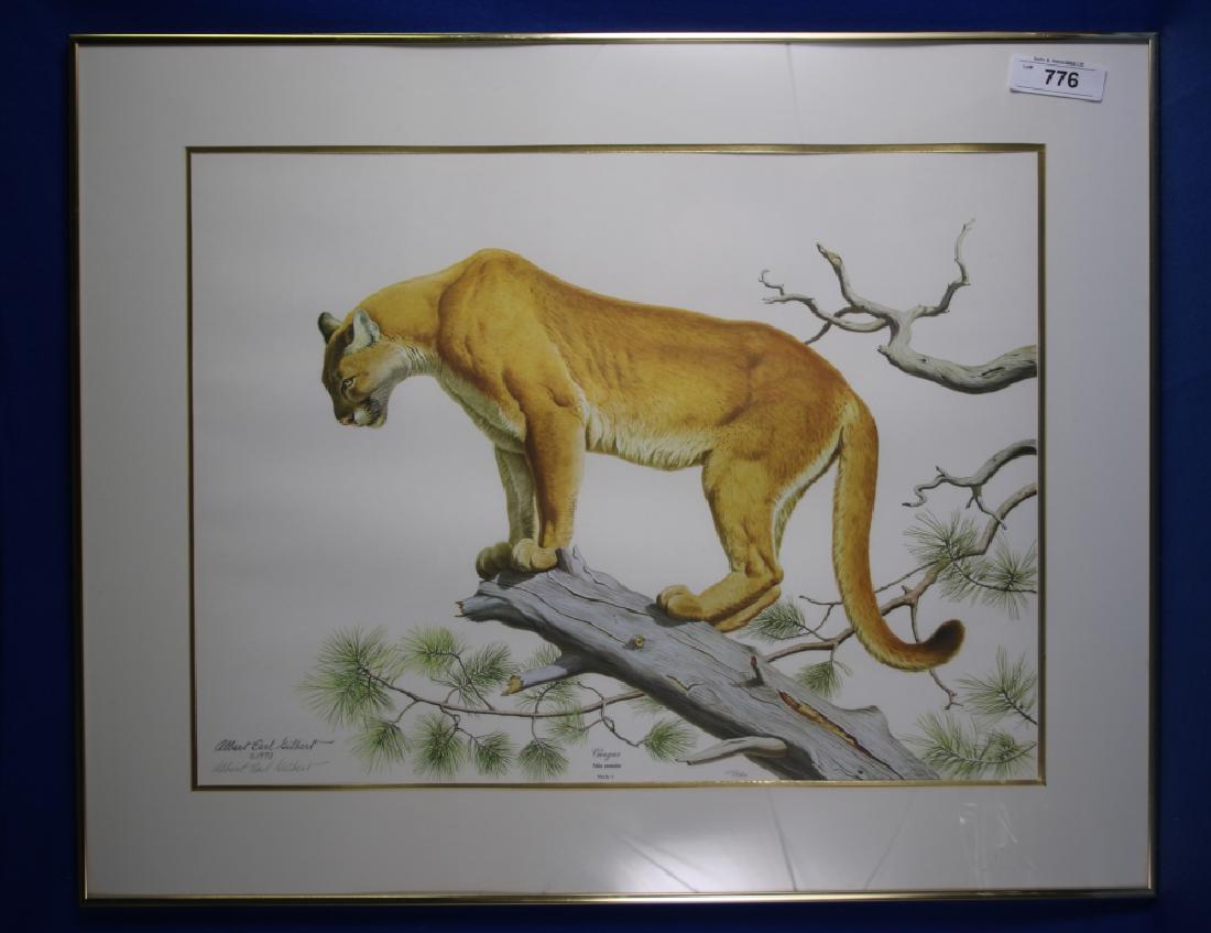 Signed Limited Edition Print Cougar: #339 of 3500; Pencil signed Albert Earl Gilbert, 1973; Approx. 30" x 24" including frame