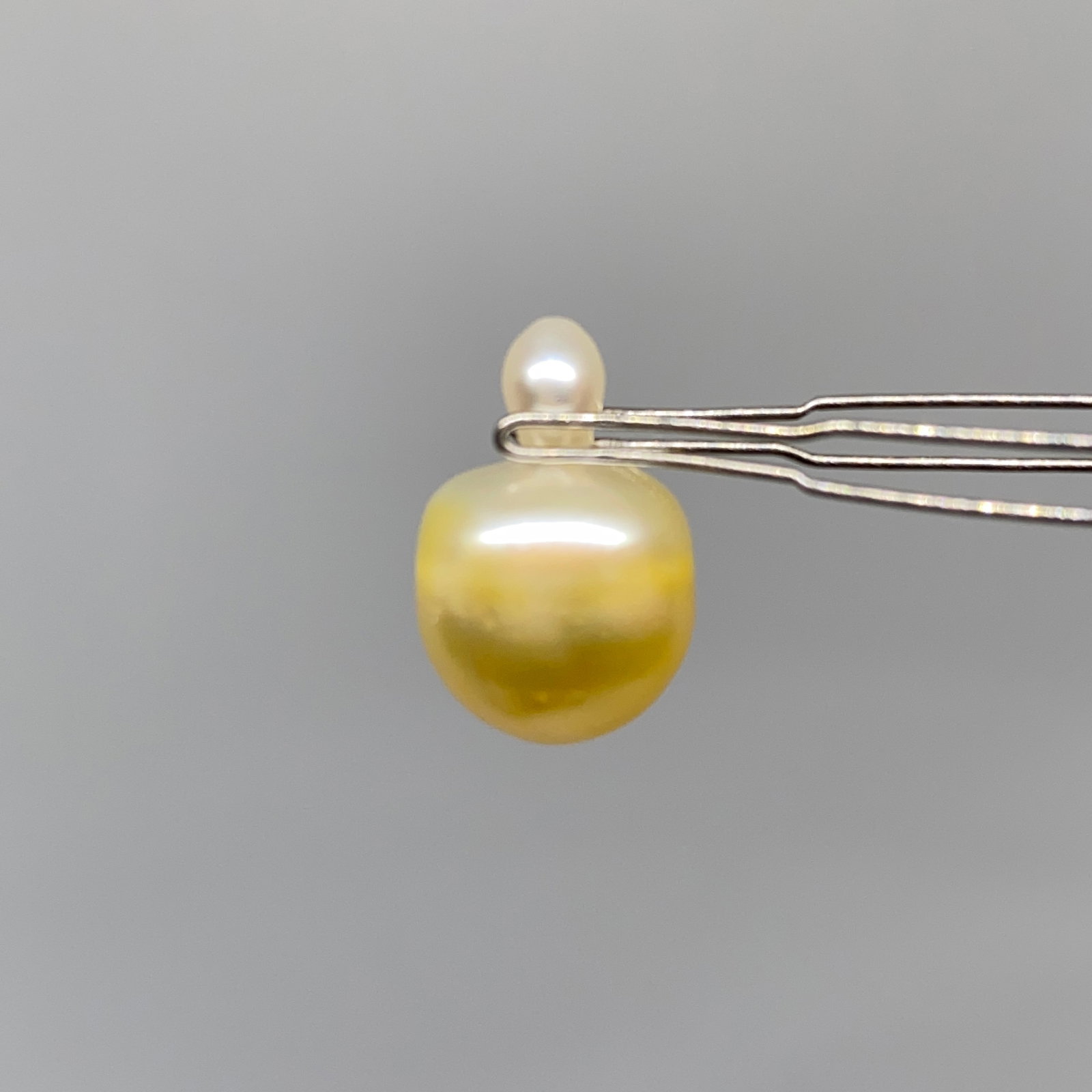 Rare Large Cultured Pearl Specimen (1 of 5)