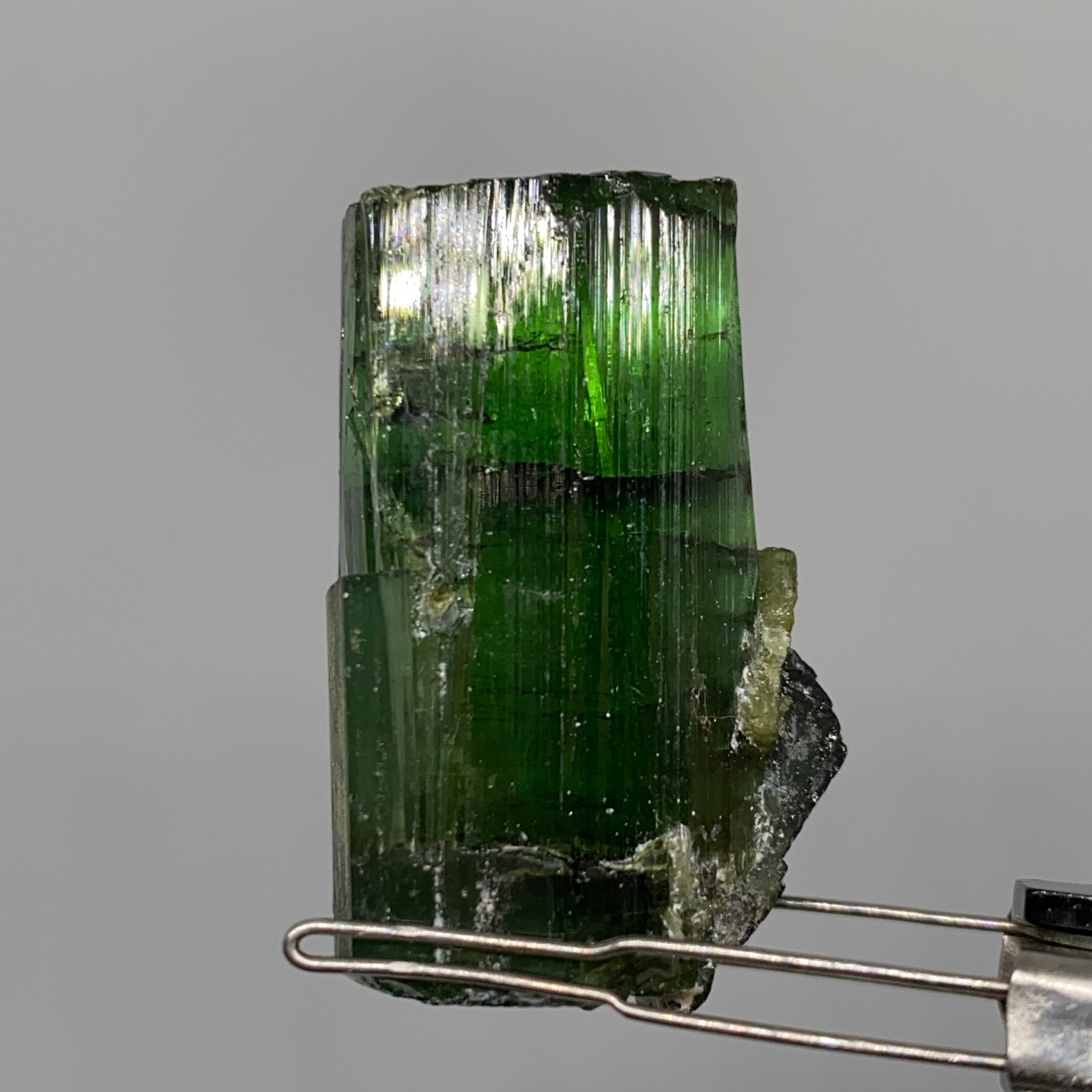 Rare Rough Tourmaline Crystal Specimen: A giant 81.82ct unheated tourmaline rough crystal showcasing distinct natural growth habits and substantial lapidary potential. Giant 81-carat unheated tourmaline crystals of this magnitude are extrao