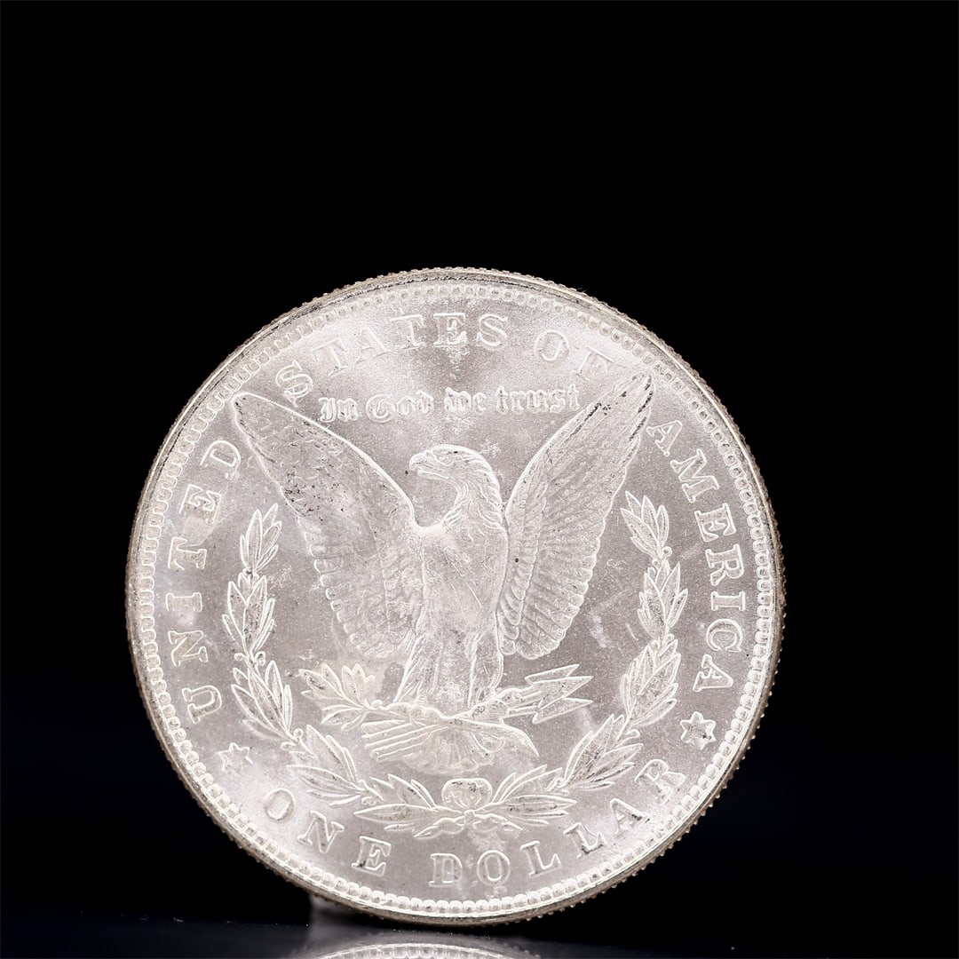 USA Morgan Dollar 1886 Coin - 2