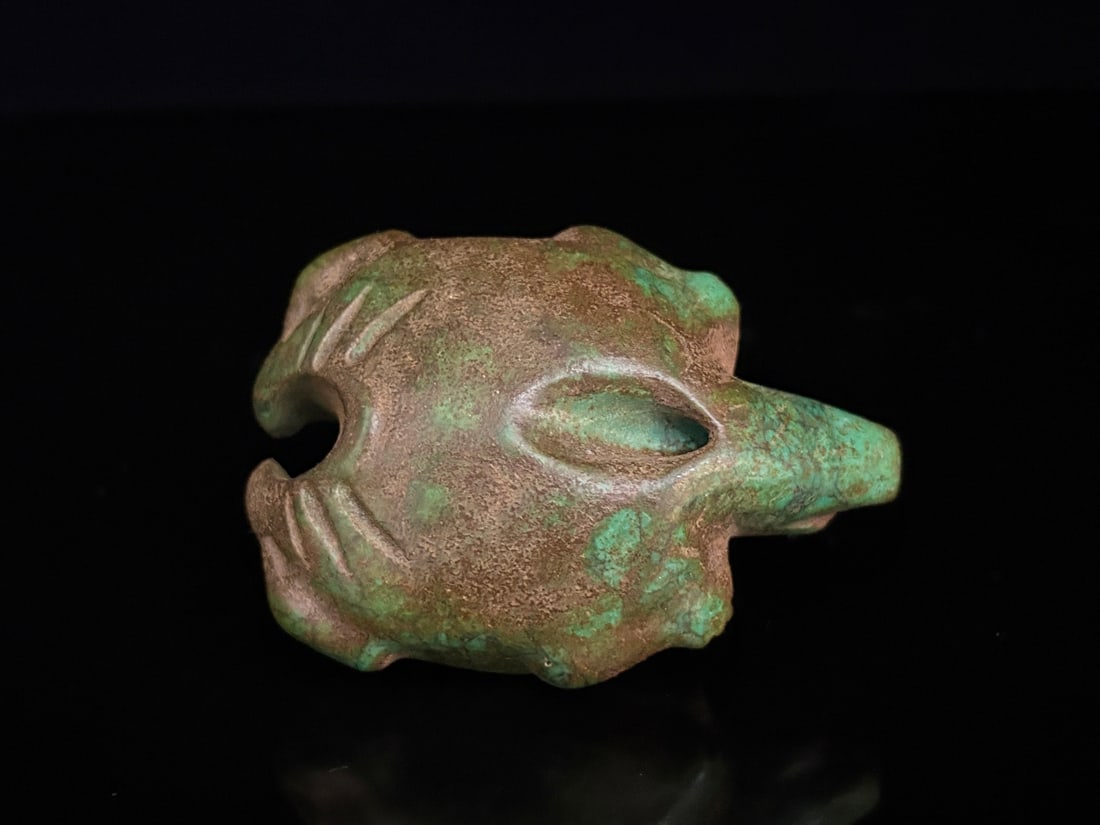 A beautiful turquoise turtle - 2