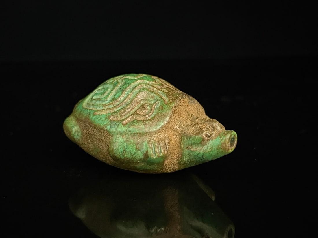 A beautiful turquoise turtle - 3