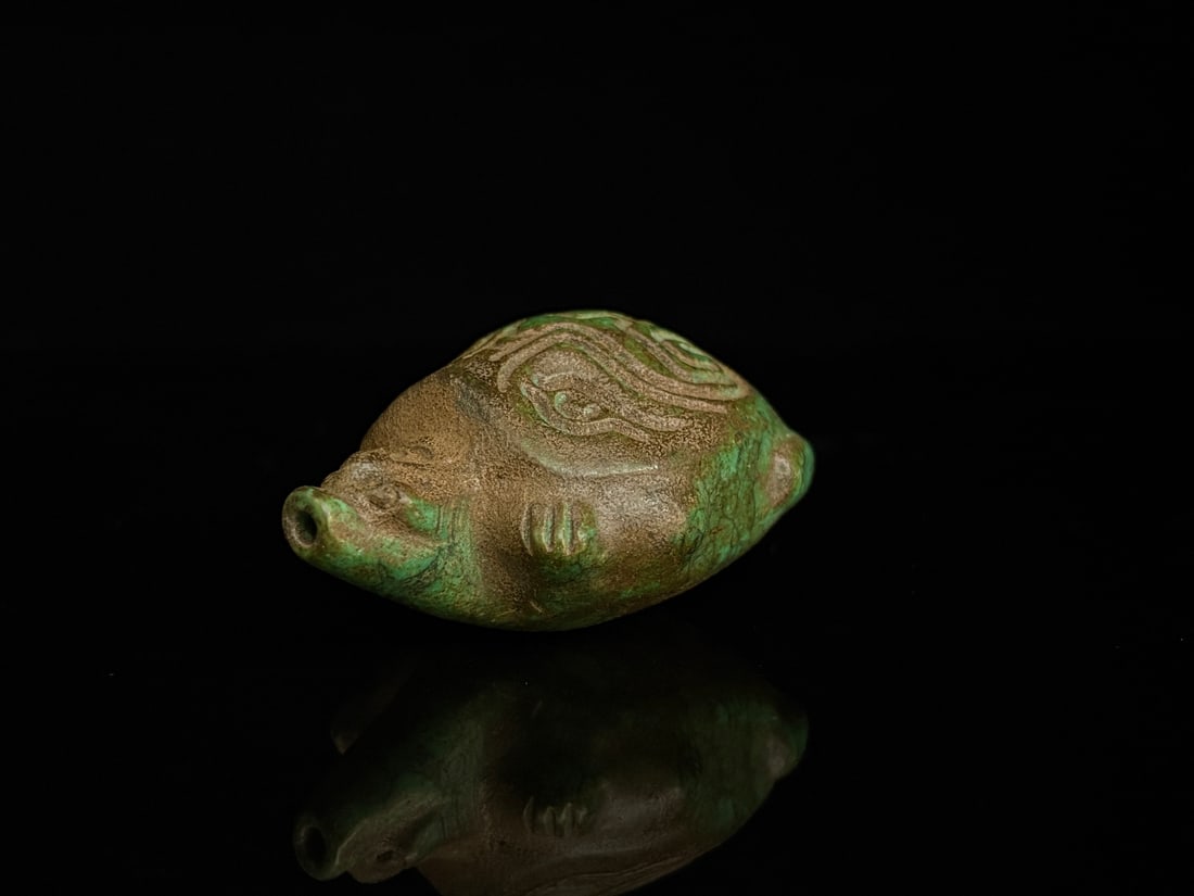 A beautiful turquoise turtle - 4