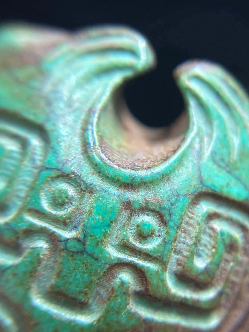 A beautiful turquoise turtle - 6