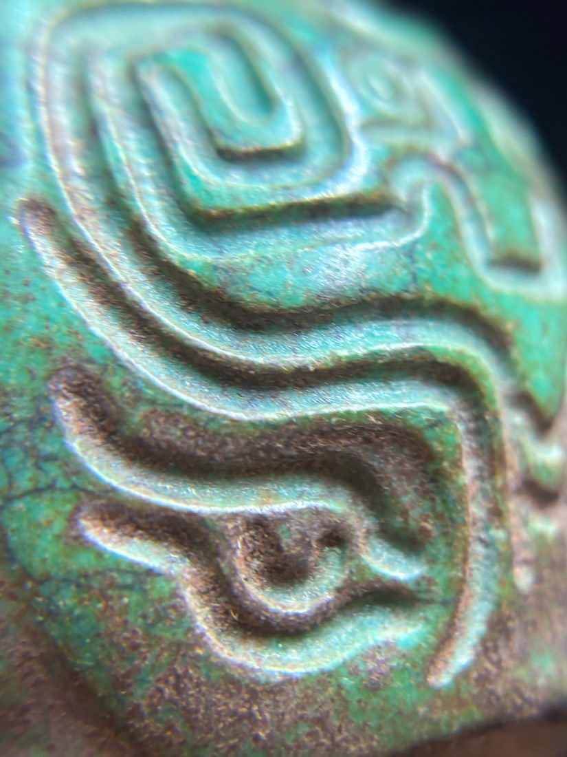 A beautiful turquoise turtle - 7