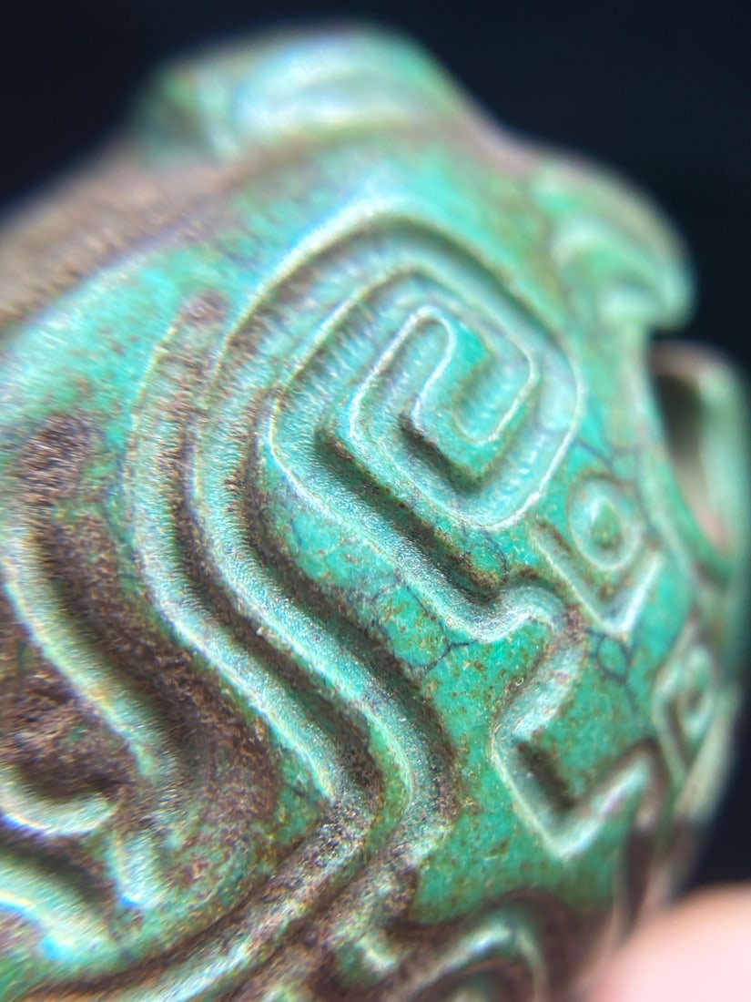 A beautiful turquoise turtle - 9
