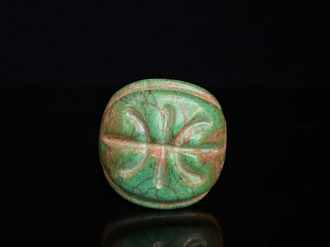 A beautiful turquoise turtle shell - 4