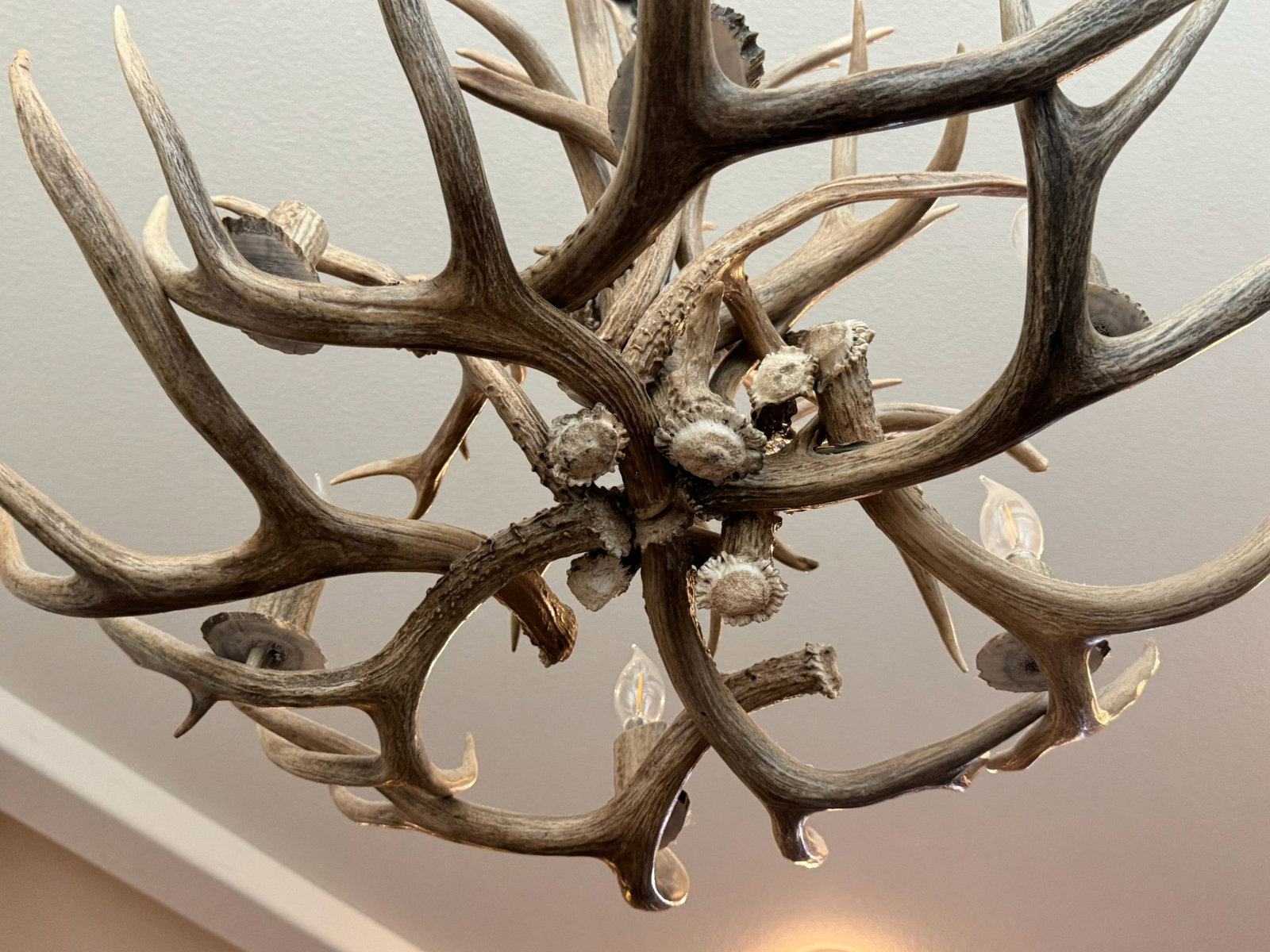 Grand Rustic Antler Multi-Light Hanging - 4