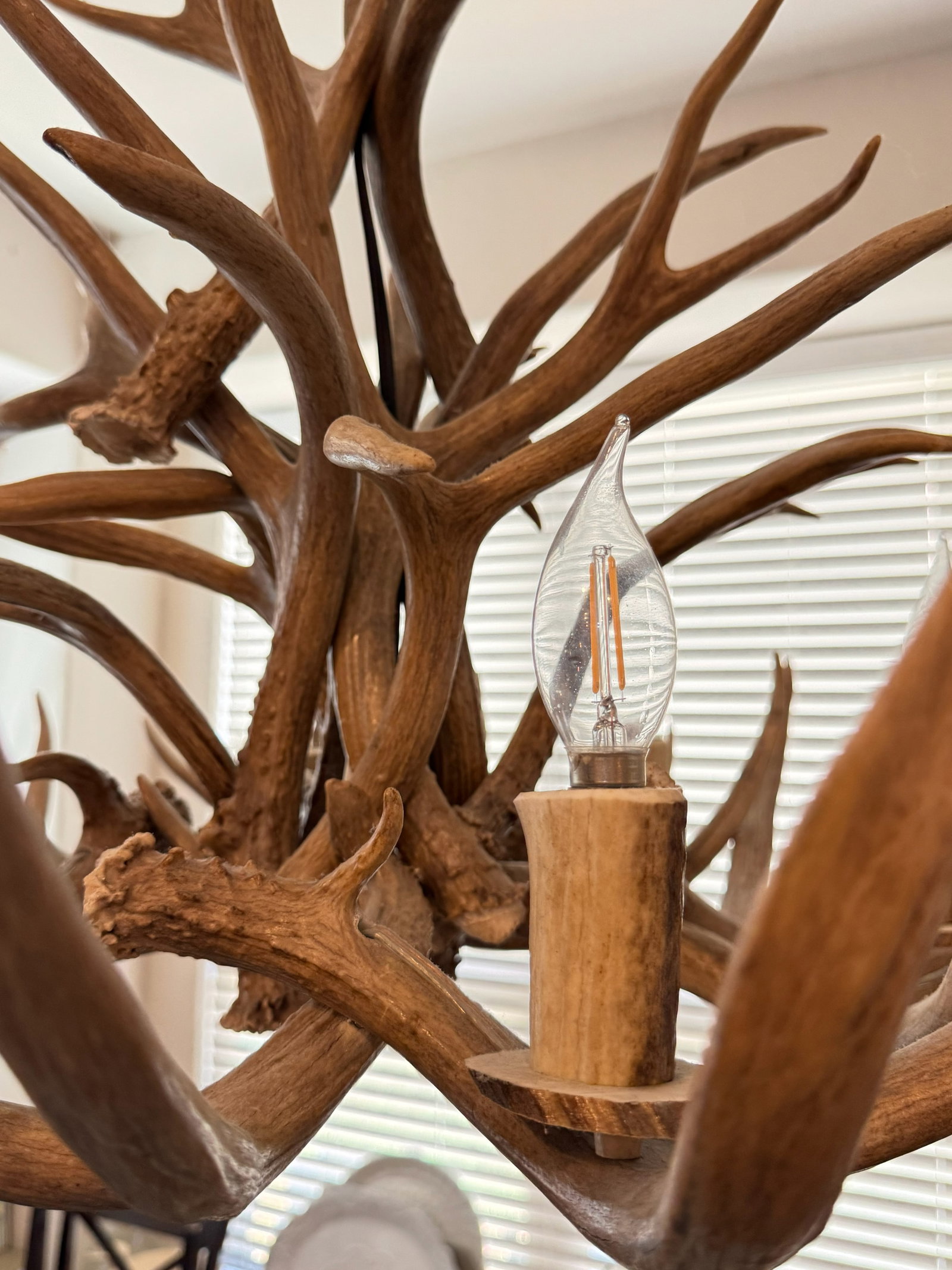 Grand Rustic Antler Multi-Light Hanging - 5