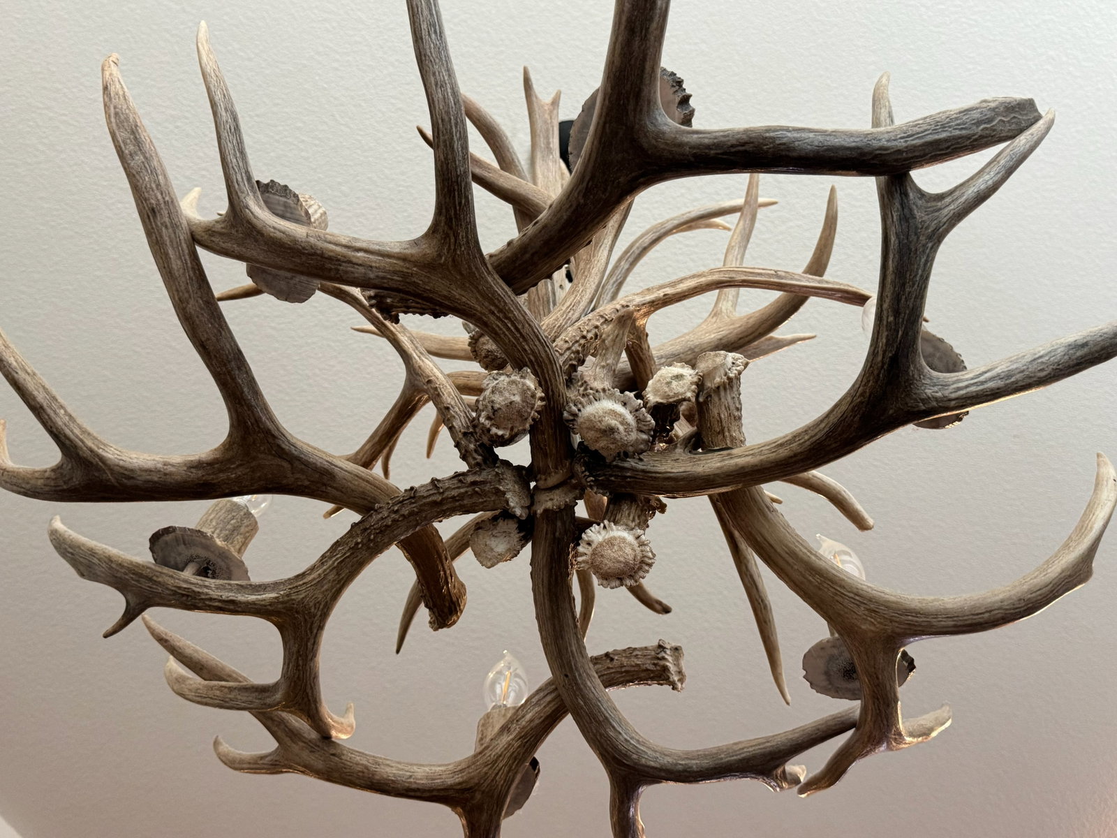 Grand Rustic Antler Multi-Light Hanging - 6