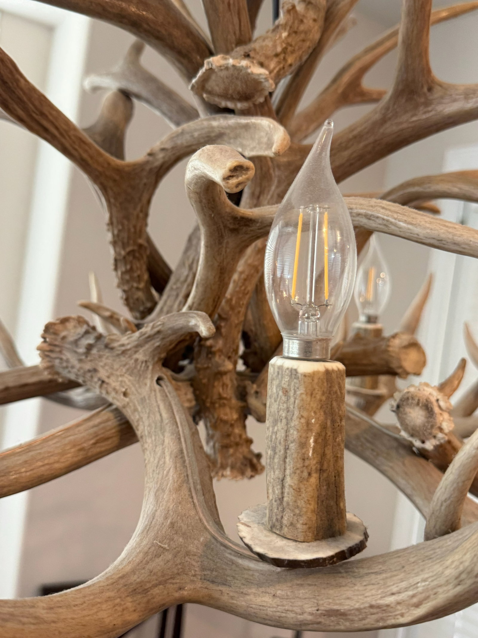 Grand Rustic Antler Multi-Light Hanging - 7