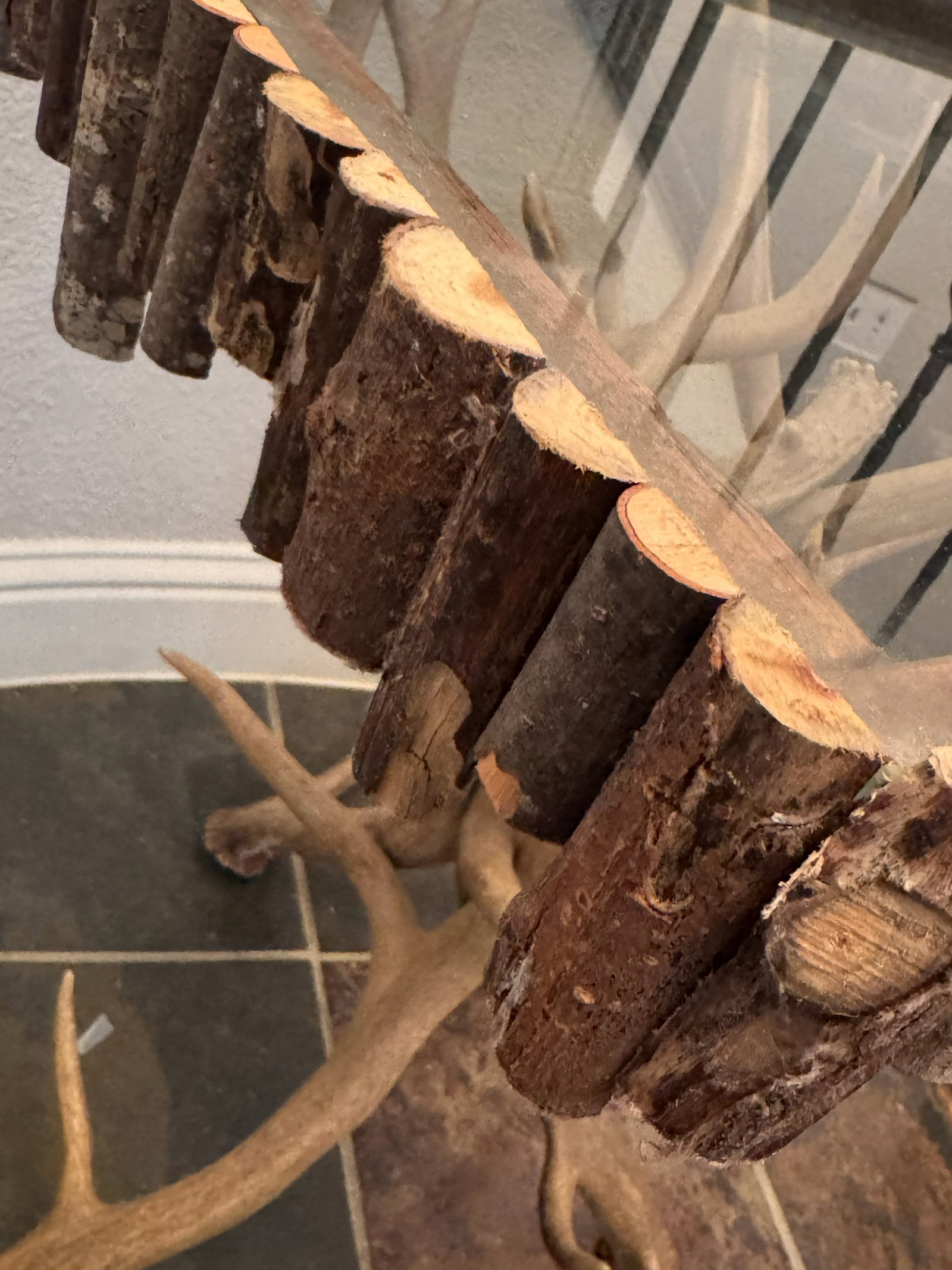 Rustic Elk / Deer Antler Base Side Table - 3