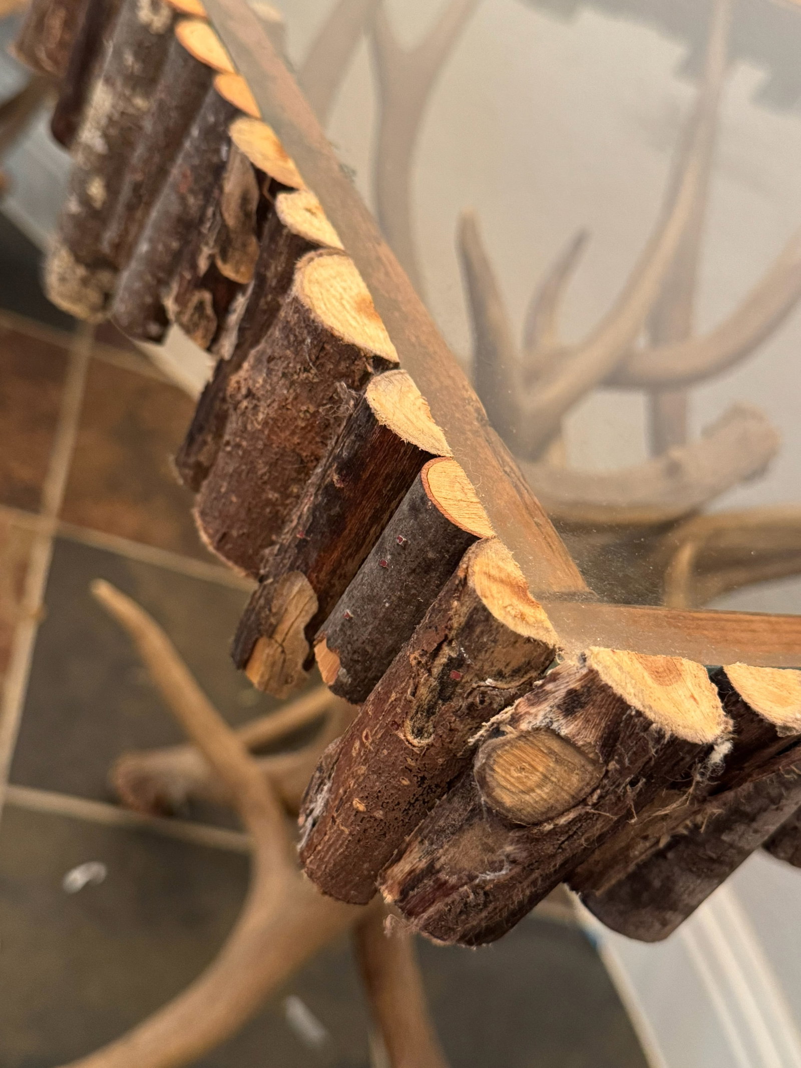Rustic Elk / Deer Antler Base Side Table - 5