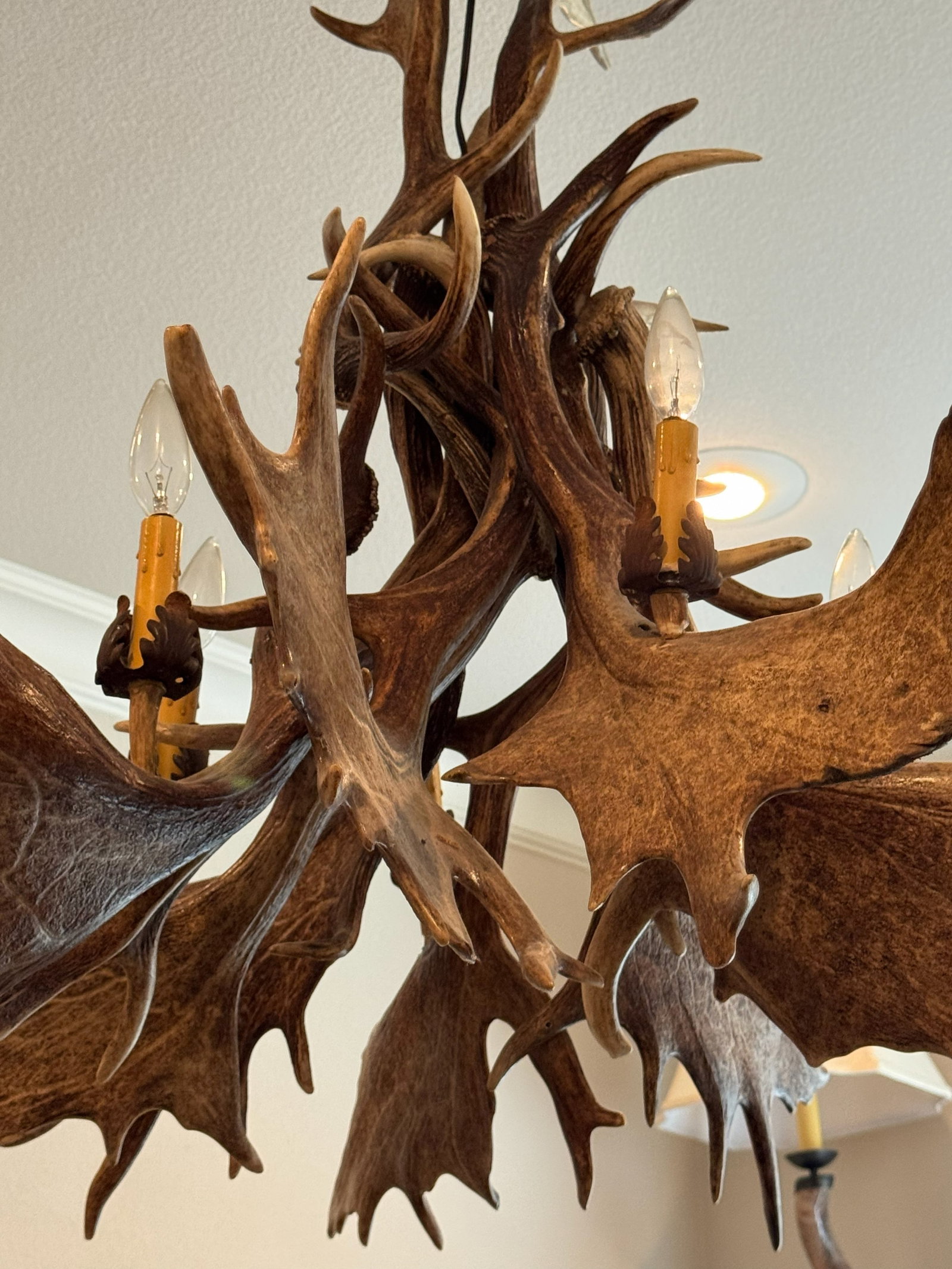 Rustic Antler Multi-Light Hanging Chandelier - 2