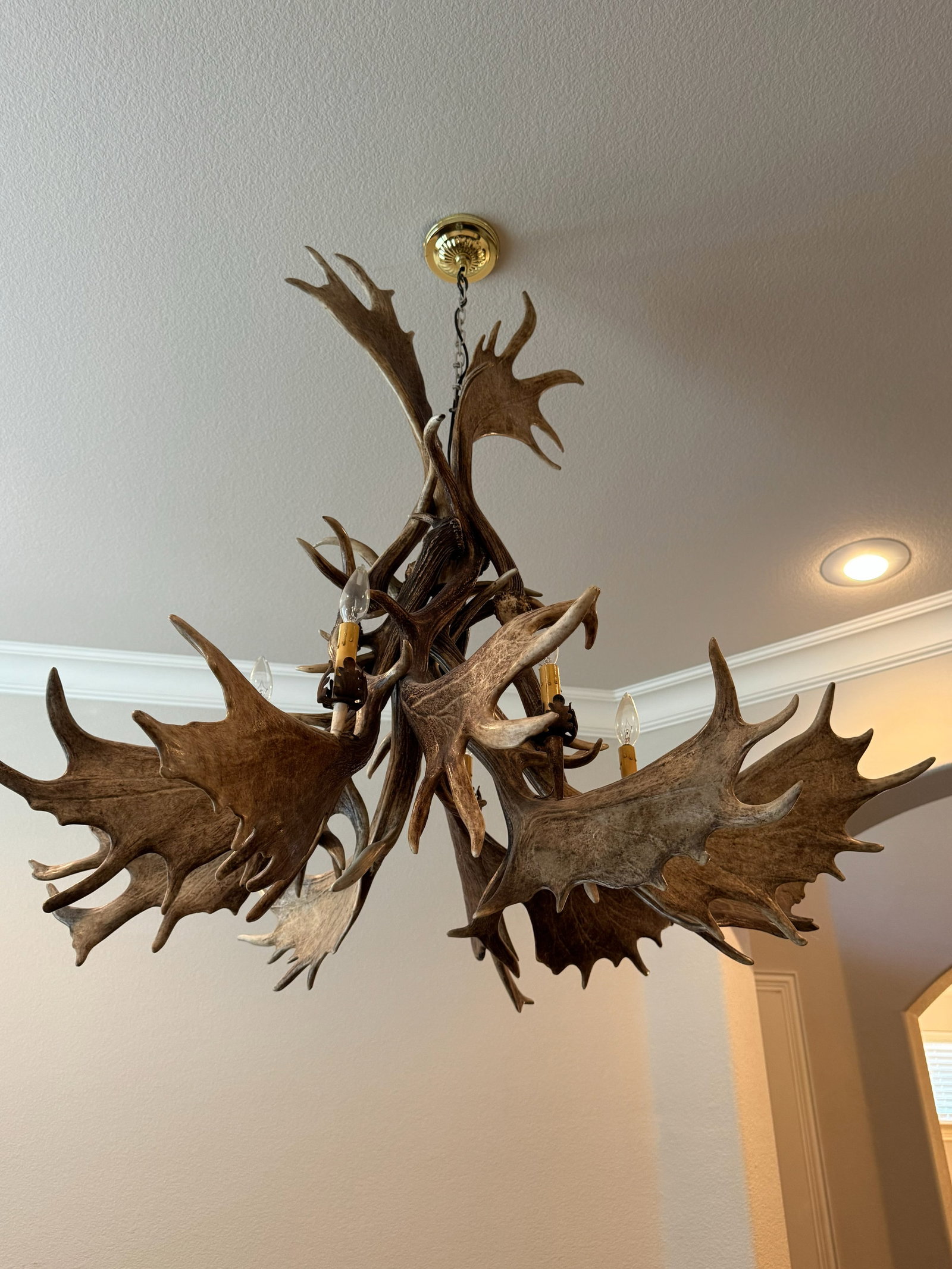 Rustic Antler Multi-Light Hanging Chandelier - 5