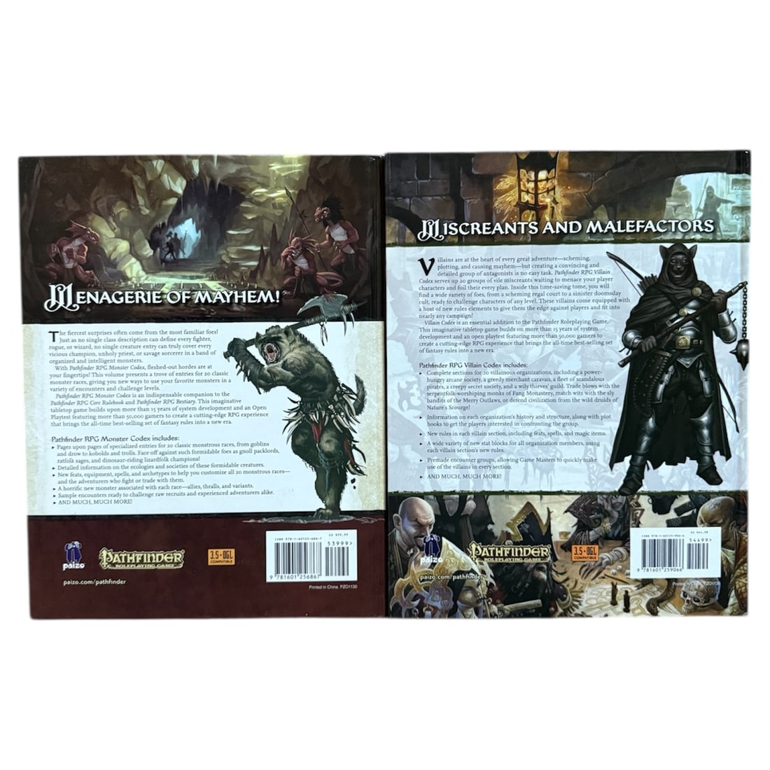 (2) Pathfinder Codex - 2