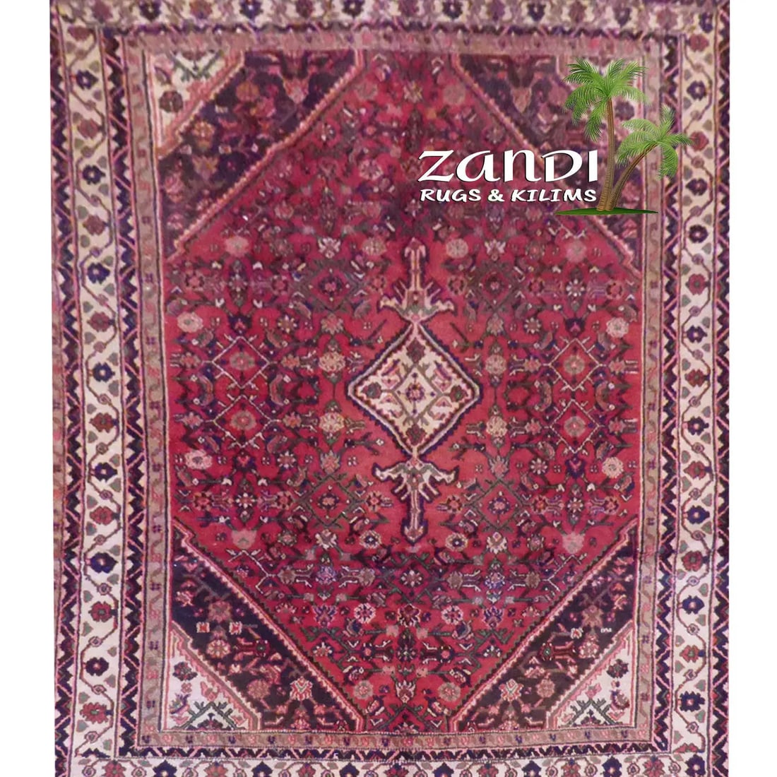 One Of The Kind Persian Hamedan Rug 9'7" x 6'6": ABC Rugs Kilims Collection Persian Hamedan Hand Knotted Woolen Cotton 9'7"X 6'6" Rr10775 Hand knotted and meticulously crafted by Persian artisans, this stunning Hand Knotted Area Rug will invite qual