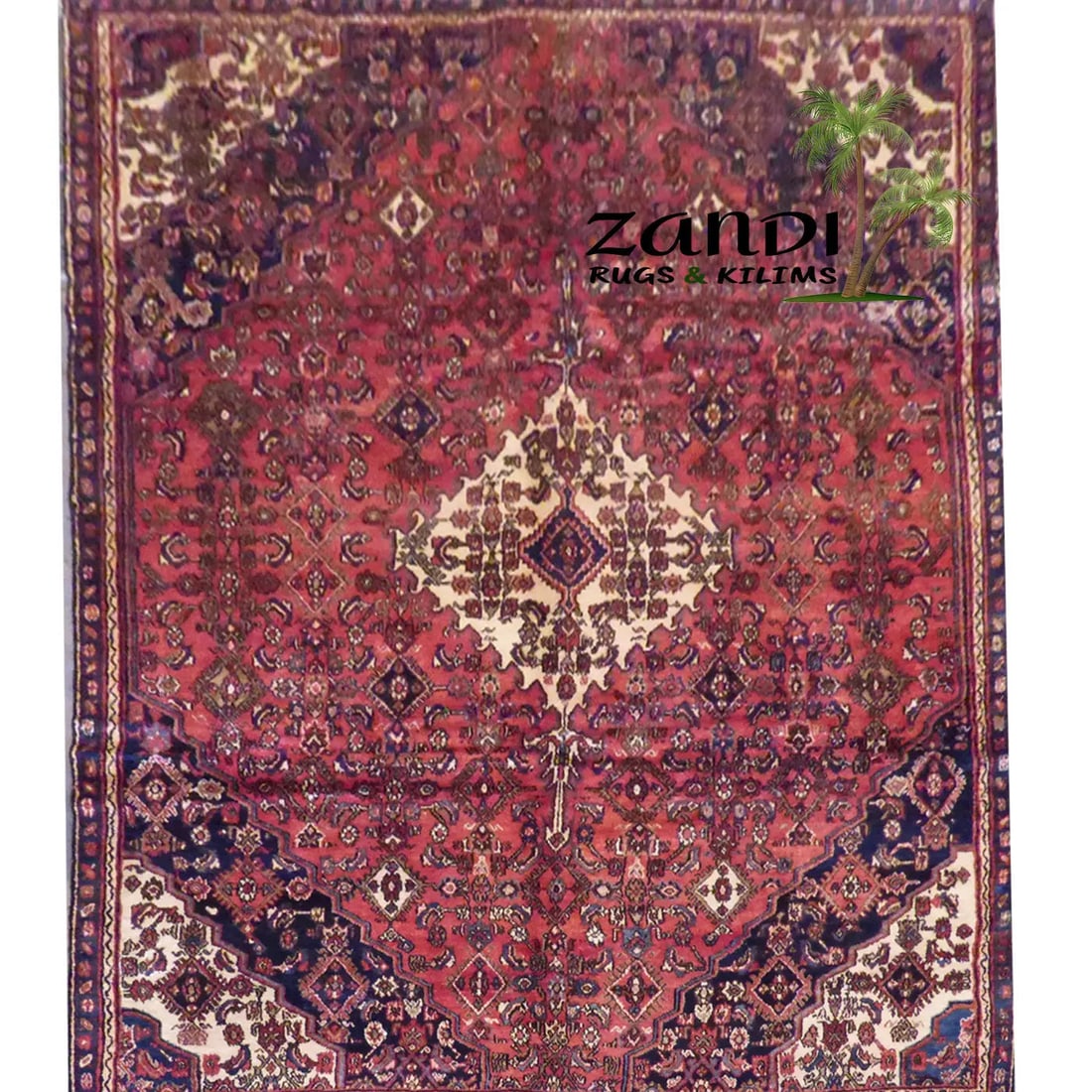 One Of The Kind Persian Hamedan Rug 10'10" x 7'4"
