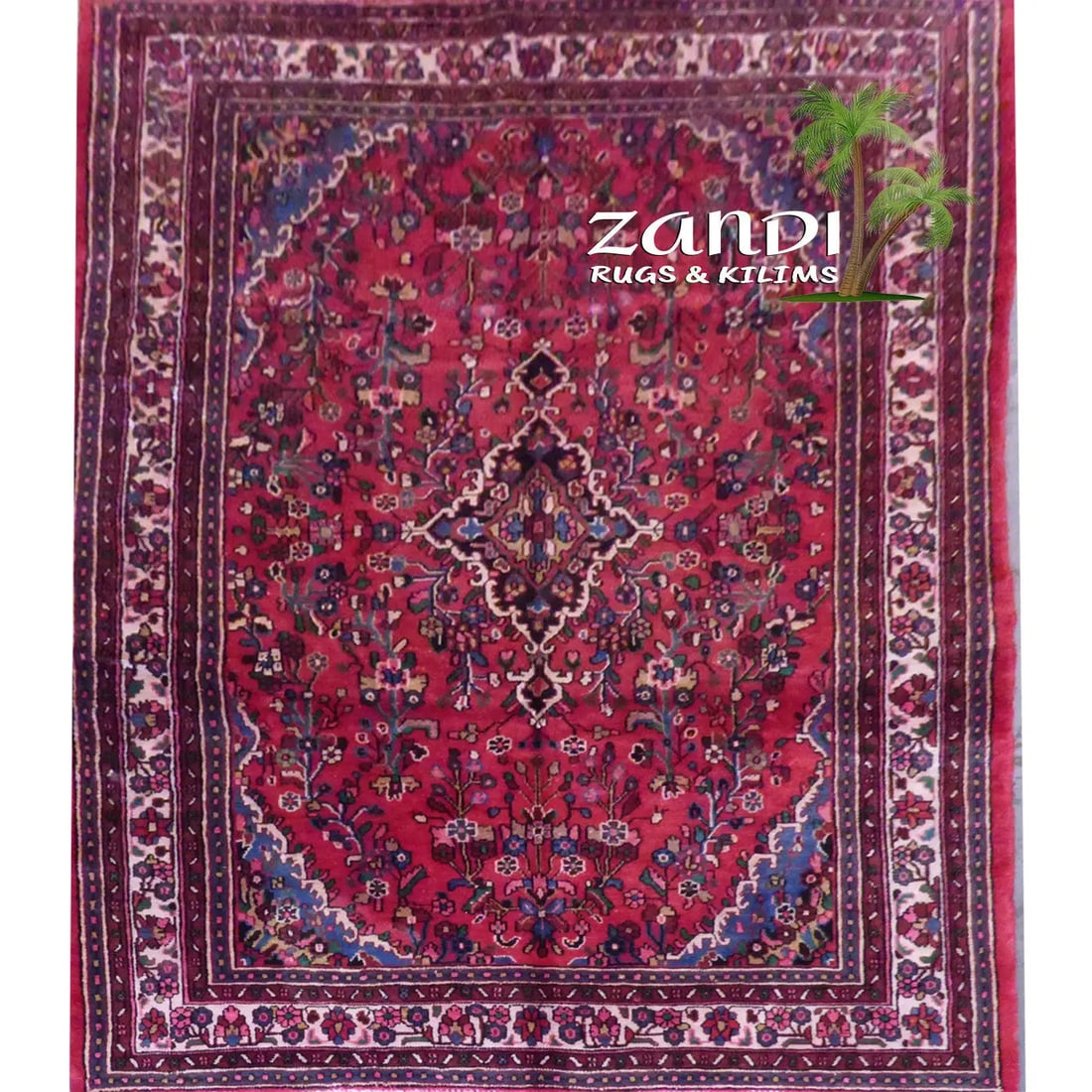 One Of The Kind Persian Hamedan Rug 10'4" x 7': ABC Rugs Kilims Collection Persian Hamedan Hand Knotted Woolen Cotton 10'4"X 7' Rr10756 Hand knotted and meticulously crafted by Persian artisans, this stunning Hand Knotted Area Rug will invite quali